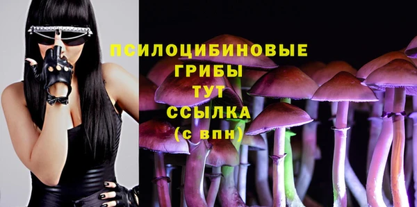 герыч Коряжма