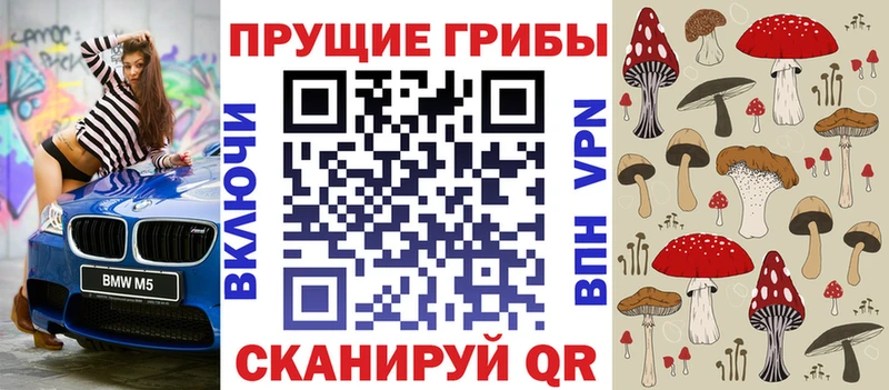 Псилоцибиновые грибы Cubensis Афипский